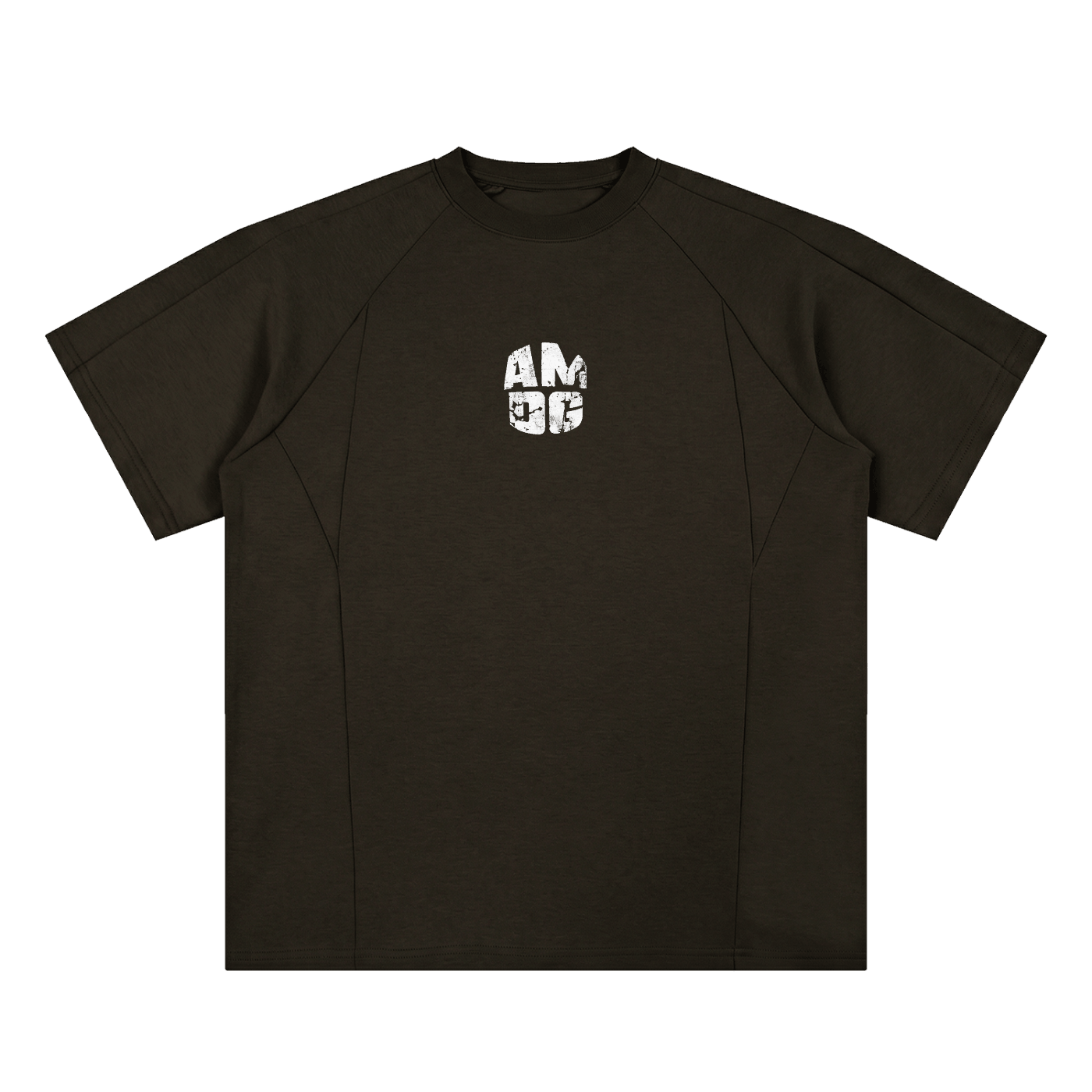 Unisex Oversized Paneled Raglan T-Shirt