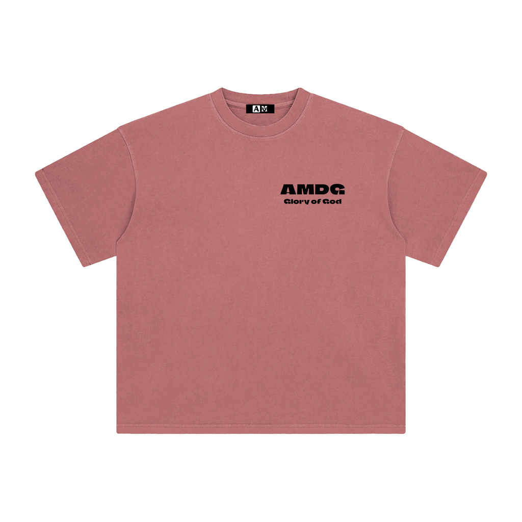 Enzyme Washed T-Shirt (clear colors)